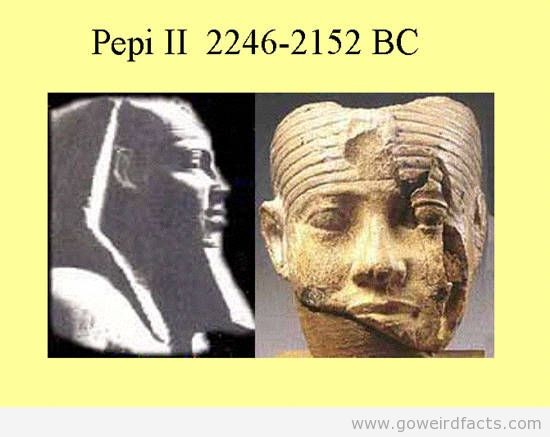 Tiet lo bat ngo ve pharaoh cua Ai Cap-Hinh-6